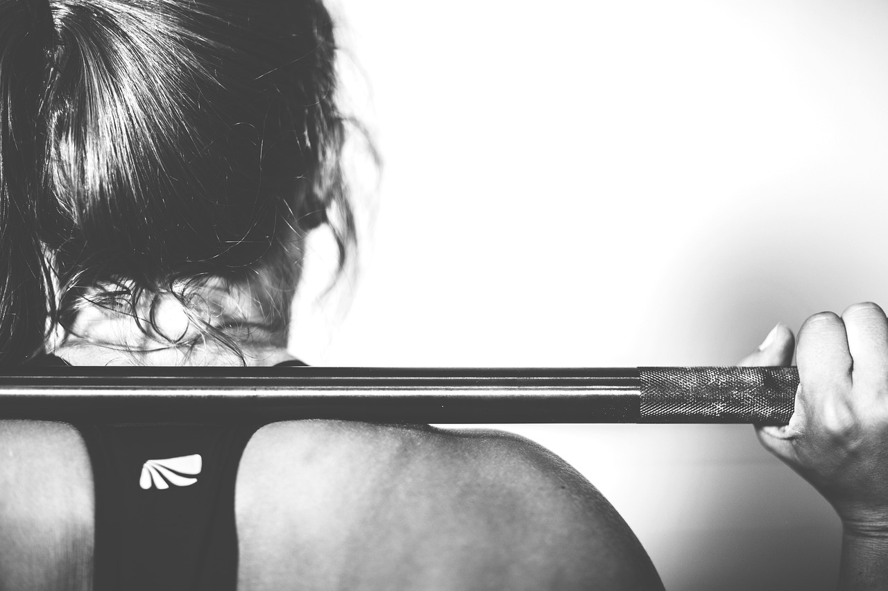 Full Body Workout